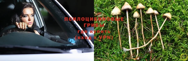 бошки Абинск