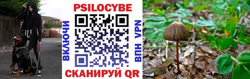 blacksprut сайт  Нижнекамск  Псилоцибиновые грибы ЛСД 